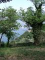 Lago di Ledro_27